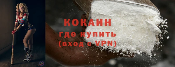 бошки Бородино
