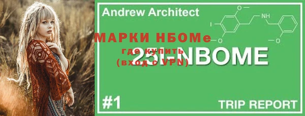 бошки Бородино