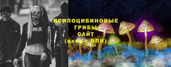 стаф Рославль