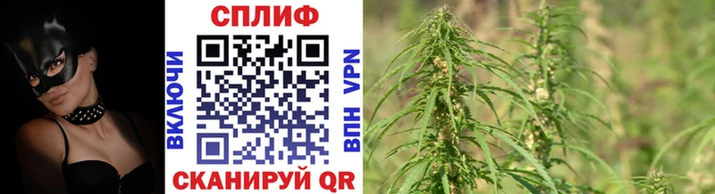 Марихуана THC 21% Новозыбков